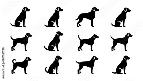 Labrador Retriever dog silhouettes set, 12 black canine vector icons, standing and sitting pet animal profiles for veterinary and pet care branding