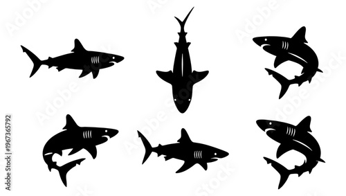 Shark silhouette vector set, 6 black shark icons in various swimming poses, predatory sea fish collection for marine life branding and logo design