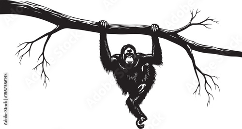 Black and white of a gorilla hanging from a tree branch