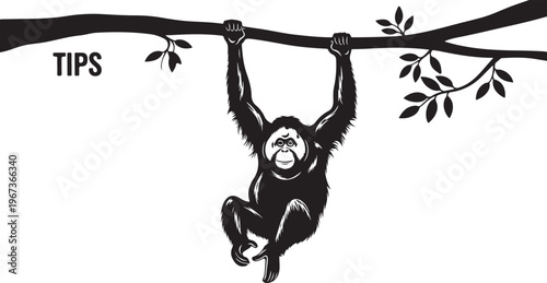 Black and white of a monkey hanging from a tree branch