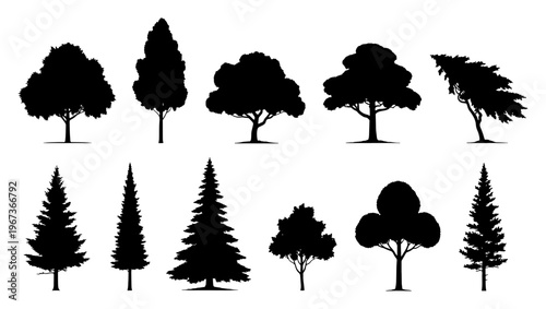 Black tree silhouettes collection, set of 11 forest tree vector icons, deciduous and coniferous tree shapes for landscape design and architectural mapping