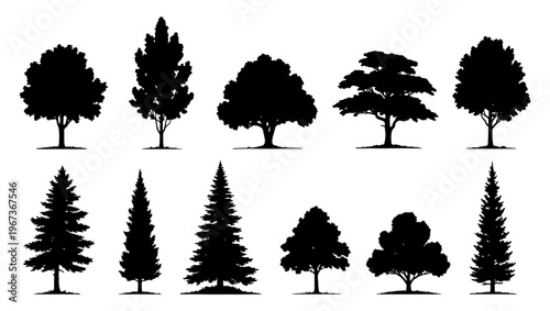 Black tree silhouettes collection, set of 11 deciduous and coniferous tree shapes, forest and park vegetation icons for landscape design