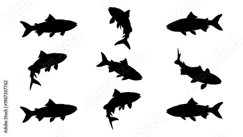 Black fish silhouette collection, set of 9 aquatic animal icons, swimming fish vector shapes isolated on white background