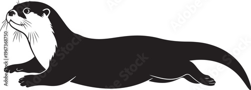 Black and white otter lying down looking left animal