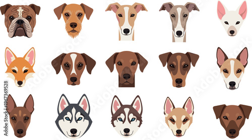 Dog breed faces collection with various cute puppy portraits vector illustration isolated on white background design set
