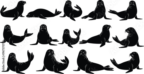 Seal silhouettes collection featuring various poses of marine mammals isolated on white background, wildlife, ocean animal set for nature, aquatic life and design concepts