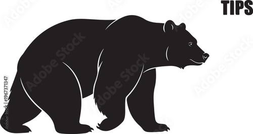 Black bear silhouette walking right with white lines