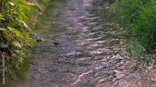 Freshwater spring rippling water