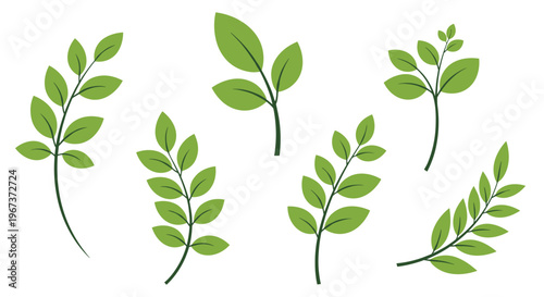 Selection of green leaf branches and foliage illustrations in seven distinct styles for natural botanical design elements.