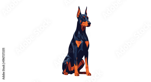 Powerful Doberman pinscher dog sitting in an alert posture showing its sleek black and tan fur against a clean white background for breeds.
