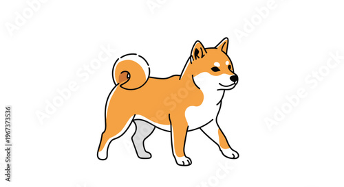 Full body illustration of a spirited Shiba Inu dog with a curled tail and prick ears walking against a solid white background for breeds.