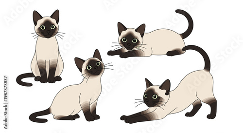 Set of four Siamese cats in various poses including sitting, stretching, and lying down in a charming cartoon style.