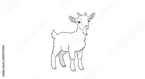 Small young white goat with tiny horns standing and looking forward in a simple and clean cartoon illustration style.