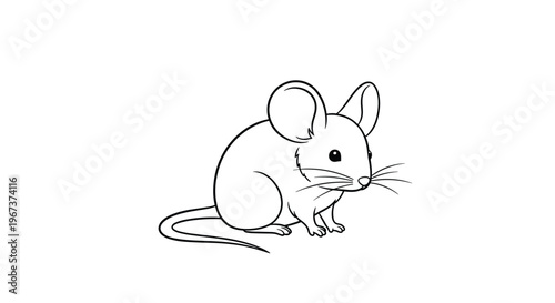 Cute small mouse illustrated in simple black line art style sitting and looking forward with large ears and long whiskers.
