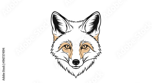 Symmetrical portrait of a fox head in a detailed black and white illustration with tan accents on the fur.