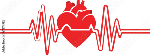 Heartbeat electrocardiogram graph represents life pulse and vital signs on white background with copy space.