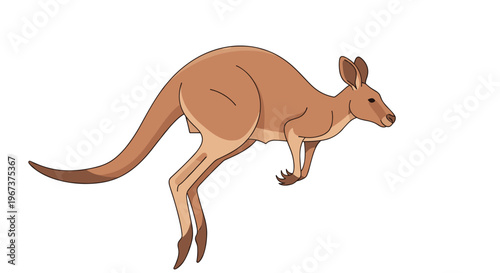 Energetic jumping kangaroo shown in mid-air with its powerful legs and long tail against a plain white background.