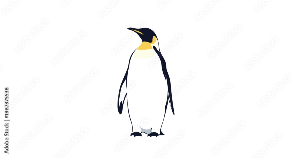 Fototapeta premium Majestic emperor penguin standing tall with its characteristic yellow and orange markings on a clean white background.