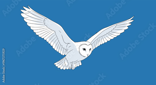 Beautiful white barn owl in full flight with its wings spread wide against a solid blue sky background for copy space.