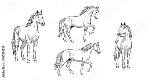 Collection of four athletic horses in various poses such as standing trotting and showing their powerful physique.