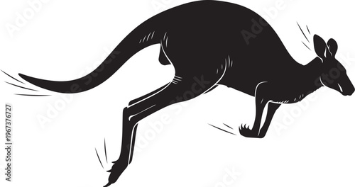 Black kangaroo silhouette in motion black silhouette