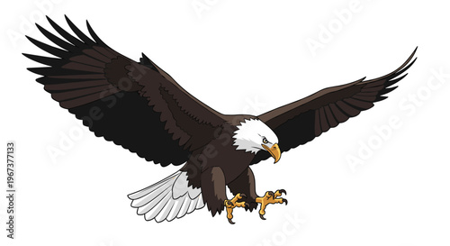 Powerful illustration of a majestic bald eagle in flight with its wings spread wide and sharp talons extended for landing or hunting.