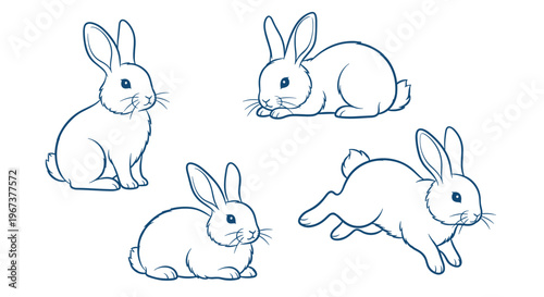 Collection of four rabbit line drawings showing the animal in different poses such as sitting, lying down, and running for design use.