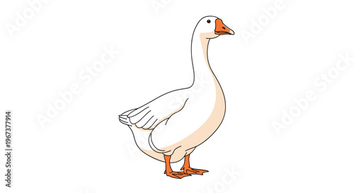 Simple and clean illustration of a white domestic goose with an orange beak standing on its two webbed feet on a plain white background.