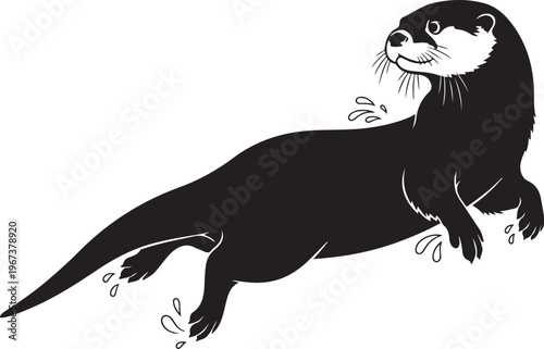 Black otter swimming with water droplets white animal