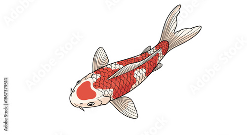 Detailed illustration of a vibrant red and white koi fish swimming gracefully with intricate scale patterns and flowing tail fins.
