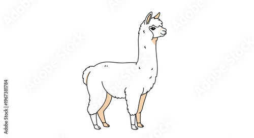 Charming illustration of a fluffy white alpaca with a long neck and gentle expression standing on a clean and bright white background.