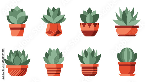 Set of potted succulent plants and cacti vector illustration.