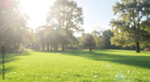 Blurry sunny landscape with green grass and trees in a park or garden