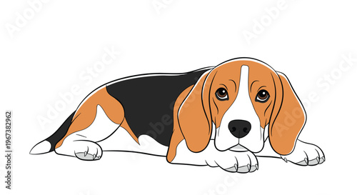 Beagle dog breed lying down and looking upwards with soulful brown eyes in a detailed color illustration on a white background.
