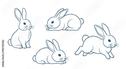 Domestic rabbit shown in four different sitting and running positions using simple blue line art on a clean white background.