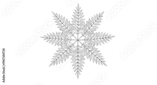 Symmetrical arrangement of fern leaves forming star shape creates natural botanical mandalas for decorative art and organic branding projects.