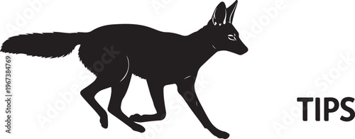 Black silhouette fox walking with tips text