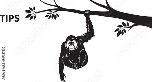 Black silhouette of a monkey hanging from a tree branch
