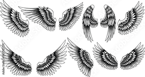 Collection of stylized wings pairs with intricate feather details, symmetrical designs, fantasy abstract vector illustration