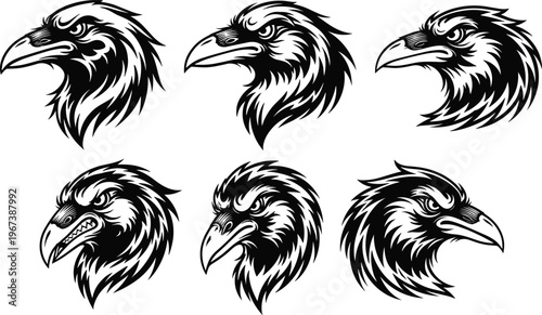 Stylized raven crow head illustrations in bold graphic black vector art, detailed feathers, sharp beak, expressive design variations