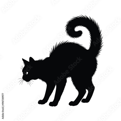 Black Cat Silhouette with Puffed Fur and Curled Tail