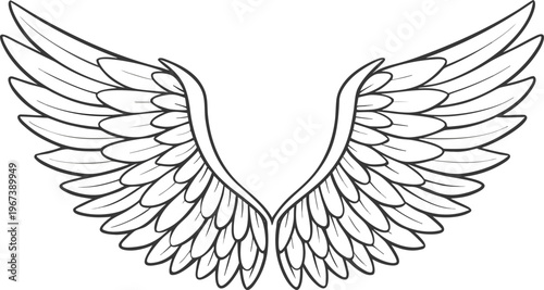 Realistic angel wings with layered feathers feathered wings black and white 1 line layered feathers