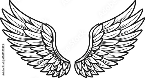 Vintage style angel wings with intricate feathers black and white