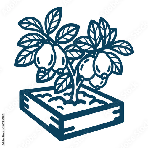 Lemon Tree Crate Citrus Plant Gardening Vector Illustration Design