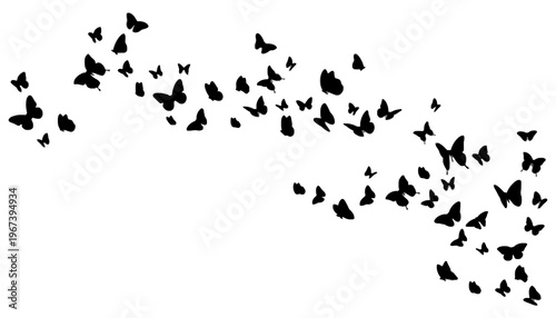 Butterfly silhouettes flying in a flock formation on white background