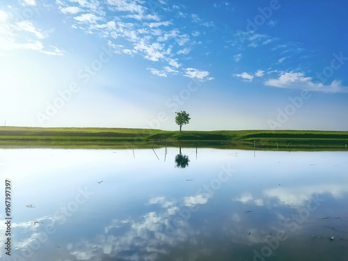 Lone Tree Reflecting in Calm Water Under Vast Blue Sky with Wispy Clouds Minimalist Landscape Serene Morning Light