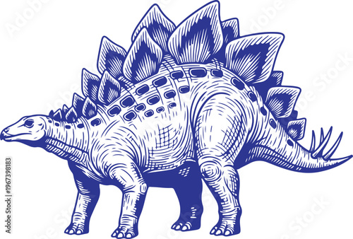Ancient Illustration of a Stegosaurus Dinosaur with Prominent Plates and Spikes Vector, illustration