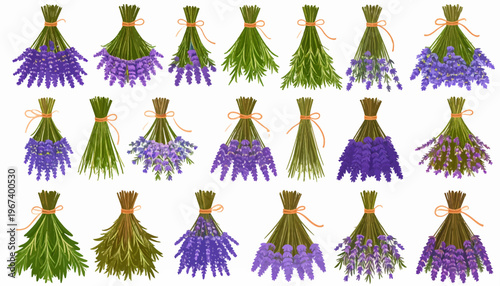 Lavender Bouquets in Various Stages of Bloom.