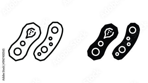 Illustration of bacterial cells undergoing binary fission in contrasting styles