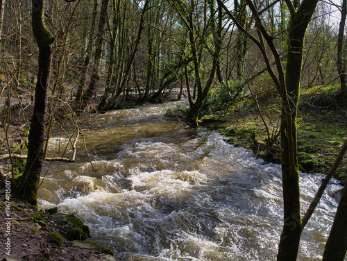 Fast flowing winter river winding through bare woodland in Clwyd North Wales with bright sunlight and a rugged natural mood